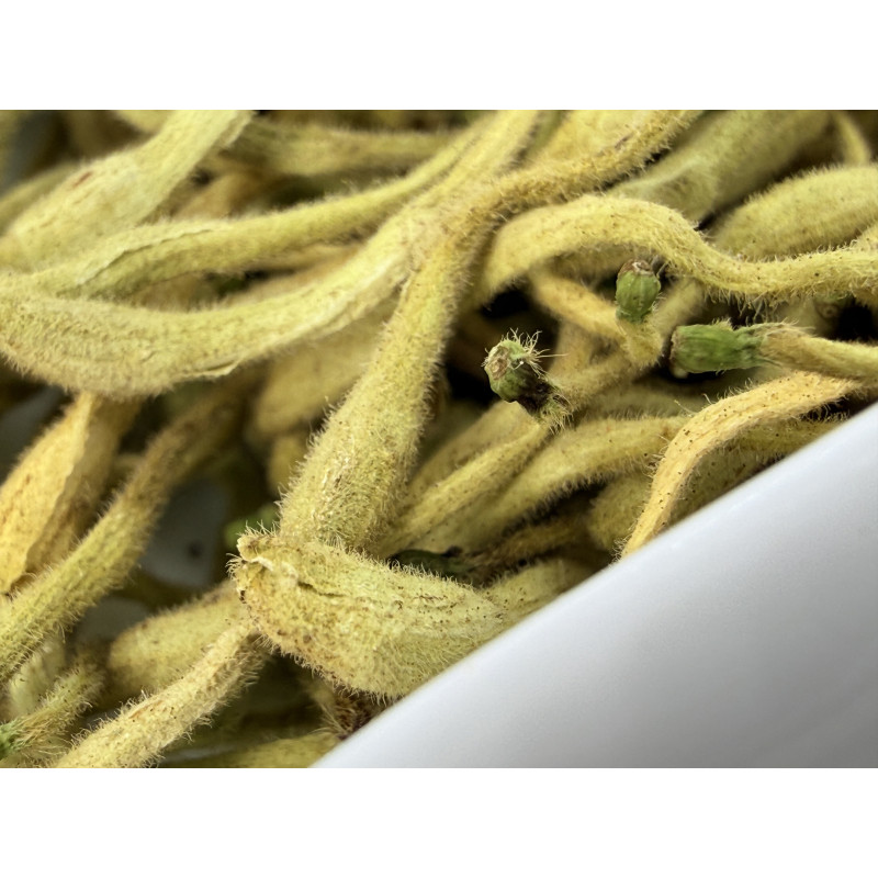 Цветы Жимолости (Цзинь Инь Хуа). Купить чай жимолость цветы. Полезный чай