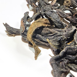 Чай Фэн Хуан Дань Цун купить — ароматный улун | Китайский чай