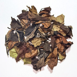 Белый чай Шоу Мэй купить. Чай для расслабления | Чайный Дилер