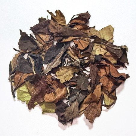 Белый чай Шоу Мэй купить. Чай для расслабления | Чайный Дилер