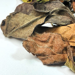 Белый чай Шоу Мэй купить. Чай для расслабления | Чайный Дилер