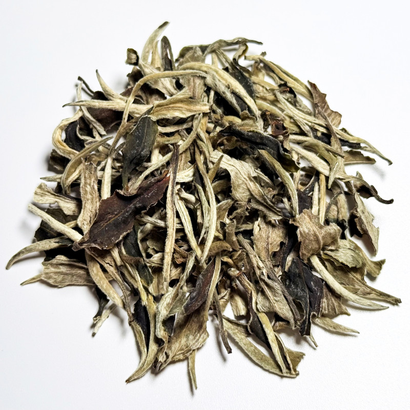 Юэ Гуан Бай белый чай Юньнань купить | Белый чай Yue Guang Bai